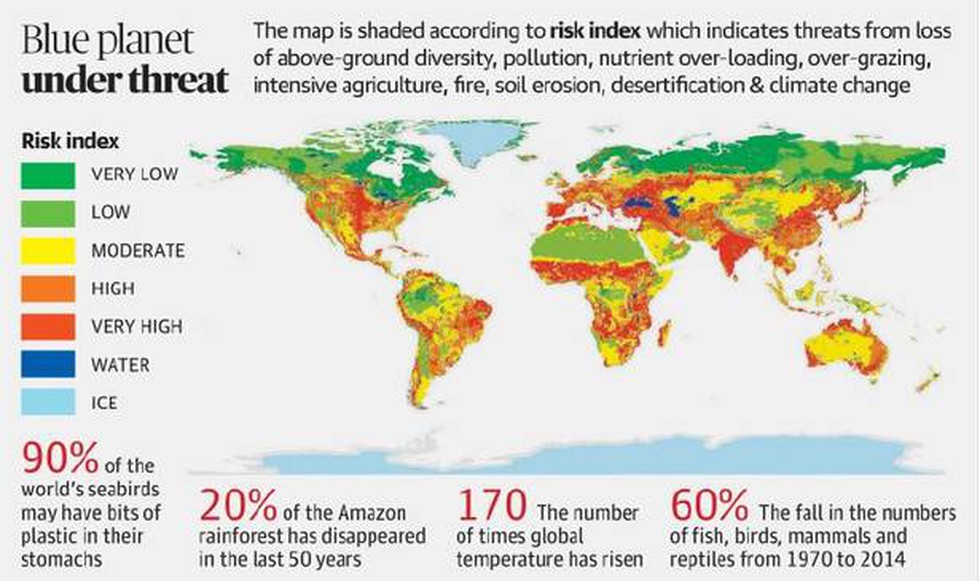 Global times world