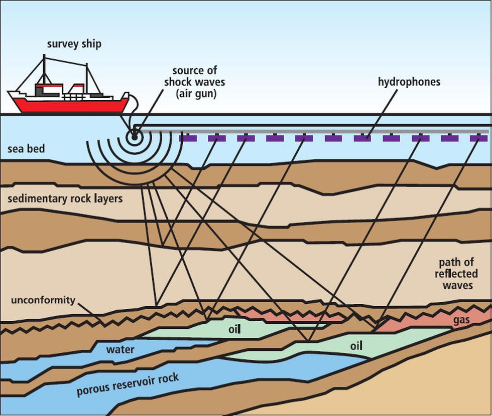 Types Of Marine Seismic Survey