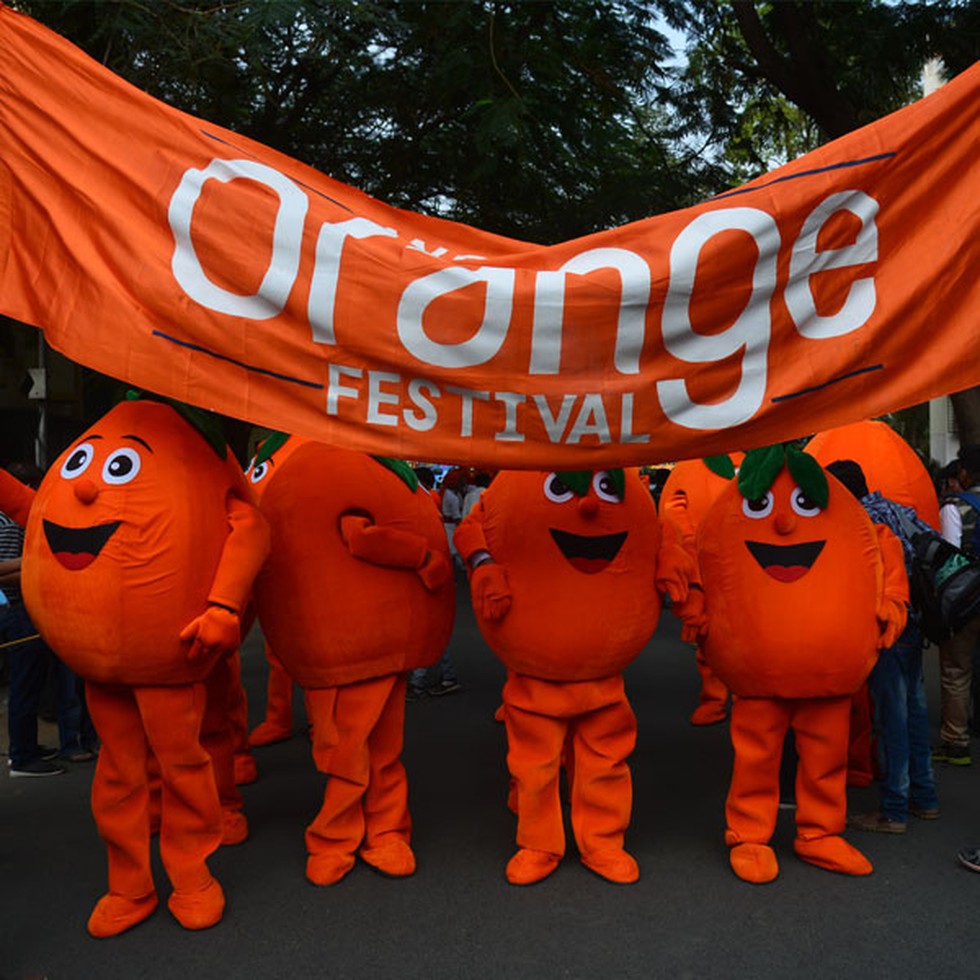 The second World Orange Festival is being held in Nagpur. The Festival