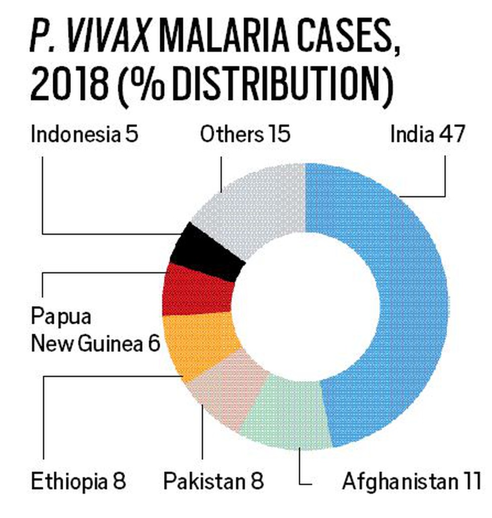 research report about malaria