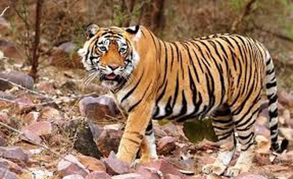 According to information provided to Lok Sabha, since August 2014, the