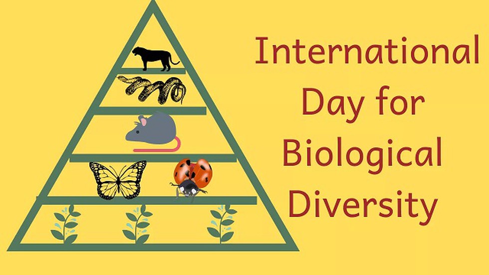 International Day For Biological Diversity 2019 Is Being Celebrated On 22  May With The Theme &Quot;Our Biodiversity, Our Food, Our Health&Quot;.