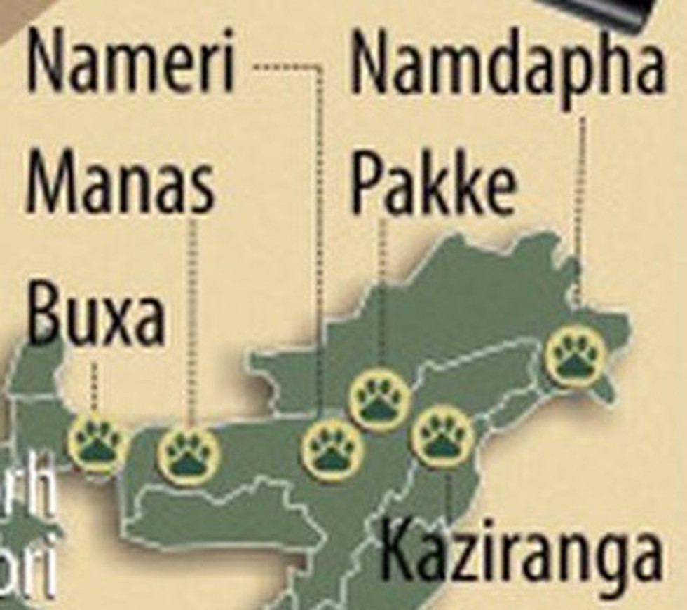 Namdapha National Park – Kaziranga National Park and Tiger Reserve ~ Tour  Packages & Safari Bookings Official