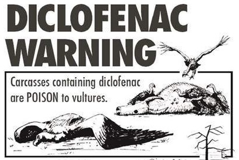 Image result for diclofenac vultures