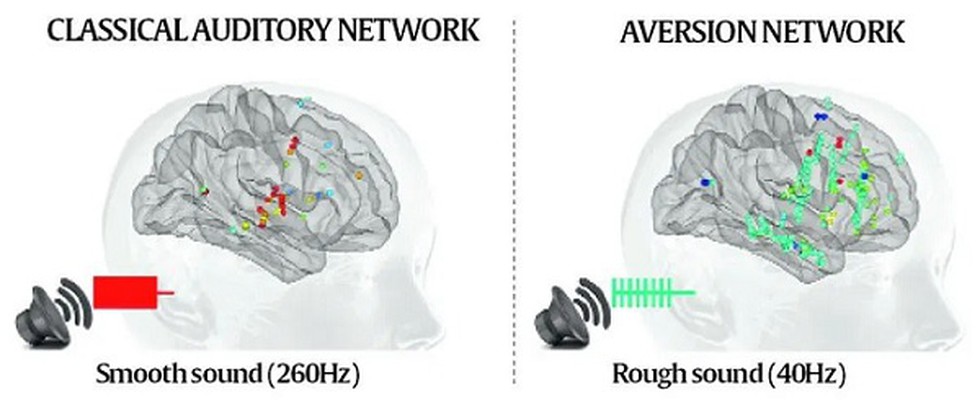 In A First Researchers Have Decoded What Happens In Our - 