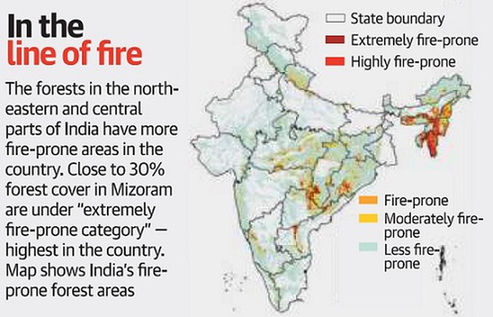 research paper on forest fire in india