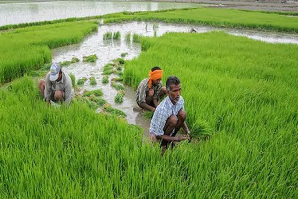 prasar-bharati-and-indian-farmers-fertilizer-cooperative-limited-iffco