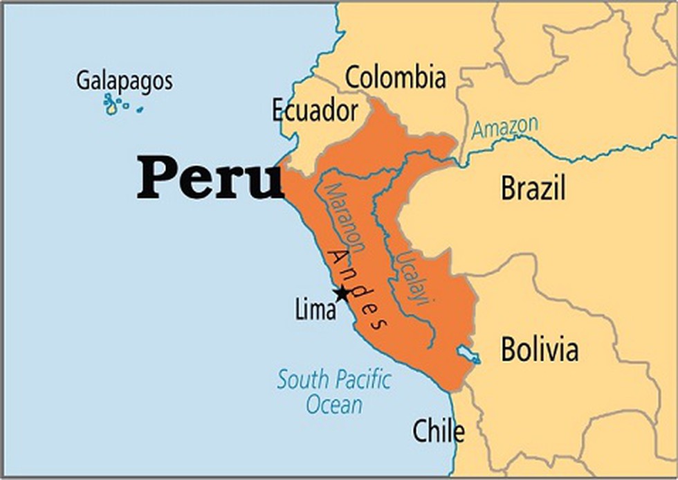 Peru’s fifth president in five years, Manuel Merino, was forced out of ...