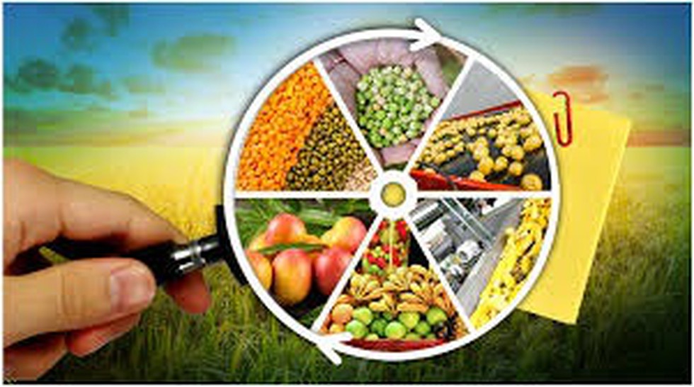 The Government Has Approved Seven Proposals Of Food Processing Projects the-government-has-approved-seven-proposals-of-food-processing-projects