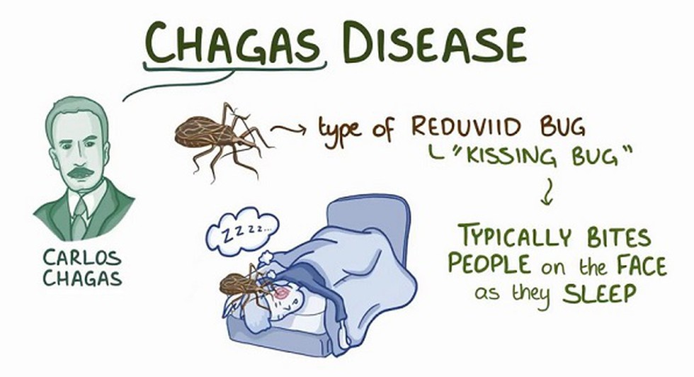 The first World Chagas Disease Day was celebrated on April 14.