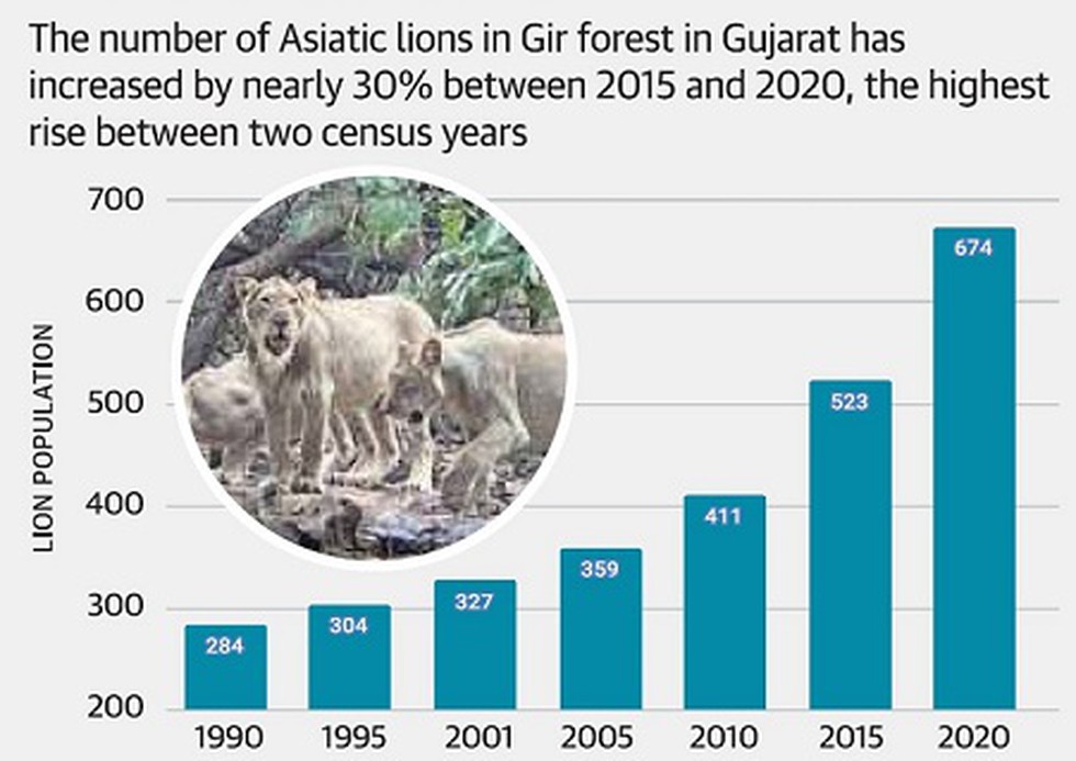 According to June 5, 2020 census, the number of Asiatic lions have now