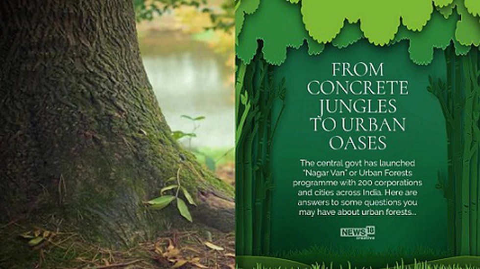 Union Environment Minister launched the Urban Forest program ...