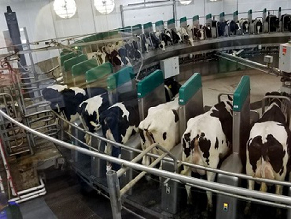 Union Minister of Animal Husbandry launched the Implementation Guidelines for Animal Husbandry Infrastructure Development Fund (AHIDF), a first type of scheme for private sector. Union Minister of Animal Husbandry launched the Implementation Guidelines for Animal Husbandry Infrastructure Development Fund (AHIDF), a first type of scheme for private sector.