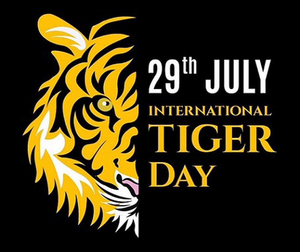 International Tigers day was observed on July 29, 2020.