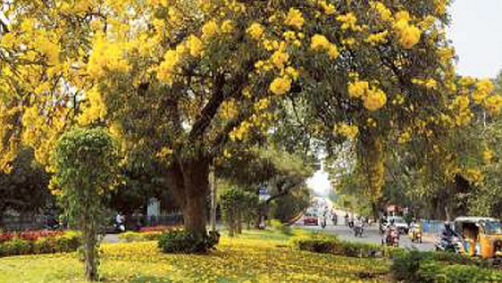 current affairs image