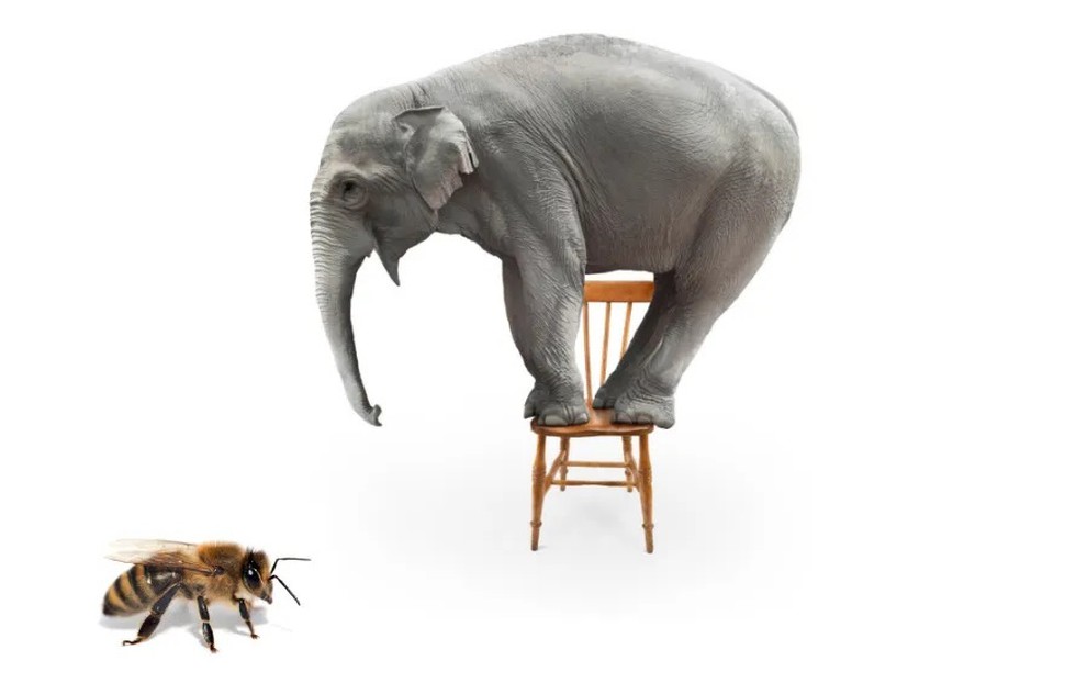 current affairs image