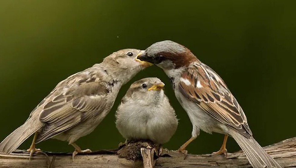 current affairs image