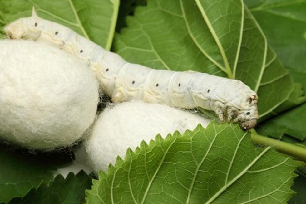 current affairs image