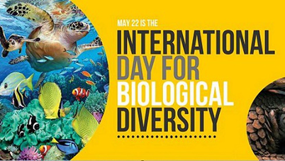 International Biodiversity Day was observed on May 22, 2021.