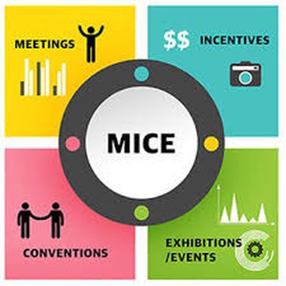 What Is Mice Online Cumberland