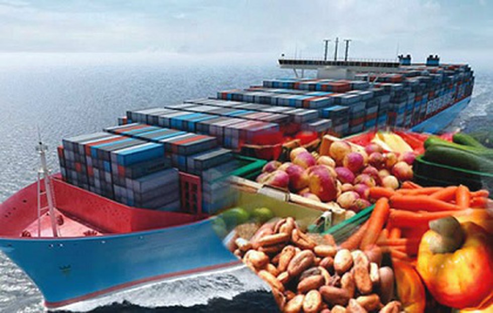 Top Food Exporting Countries 2020 at Lena Vasquez blog