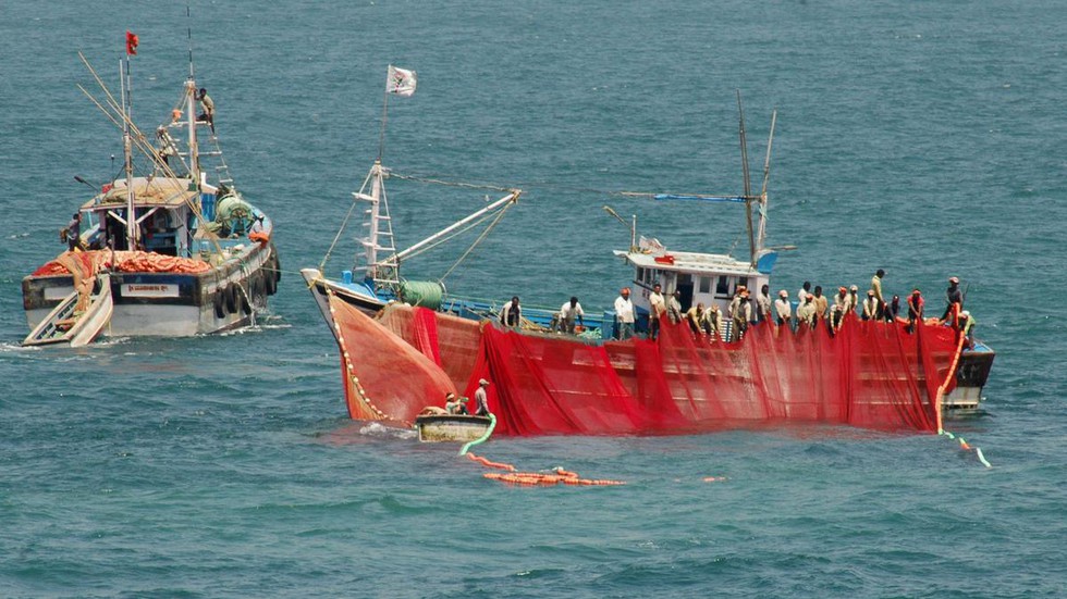 EU's 'Toxic Collusion' Harms Indian Ocean Tuna, Critics Allege - LA  Progressive