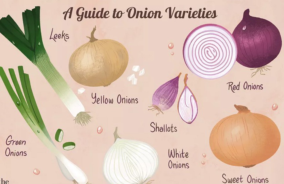 Indian Shallot Information and Facts