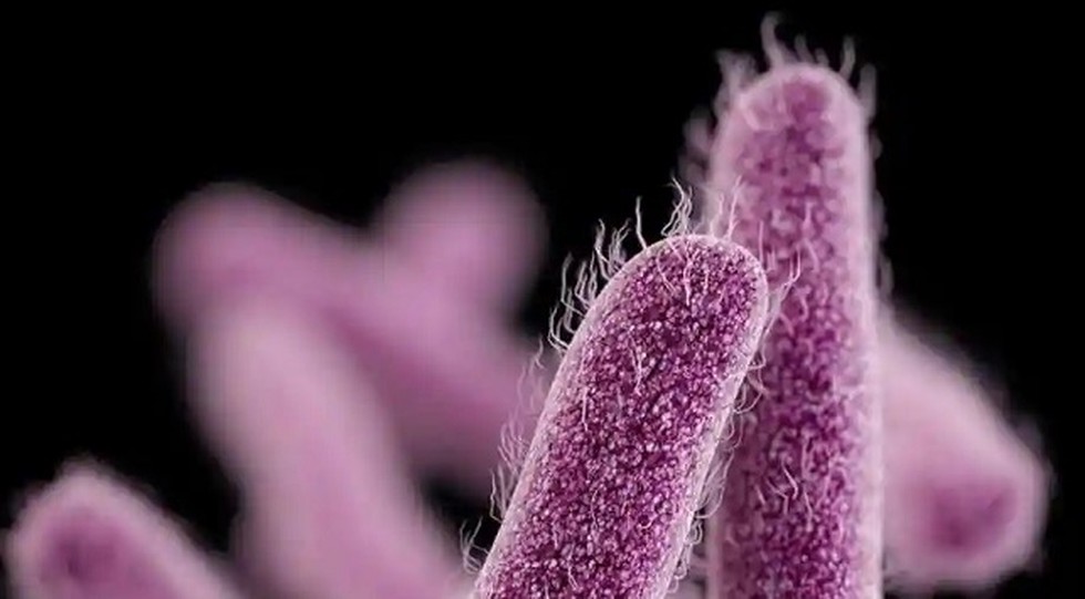 The Kerala health department identified Shigella bacteria as the cause