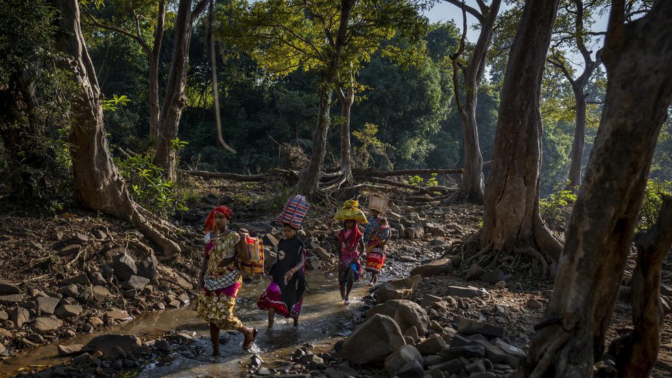 National Commission For Scheduled Tribes Recently Said That Forest National Commission For Scheduled Tribes Recently Said That Forest