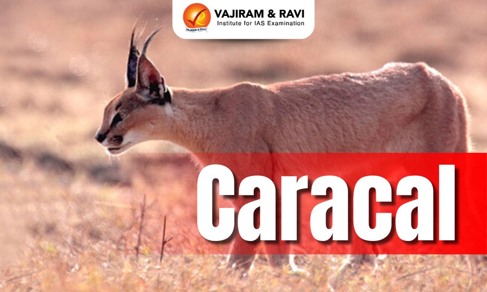 current affairs image