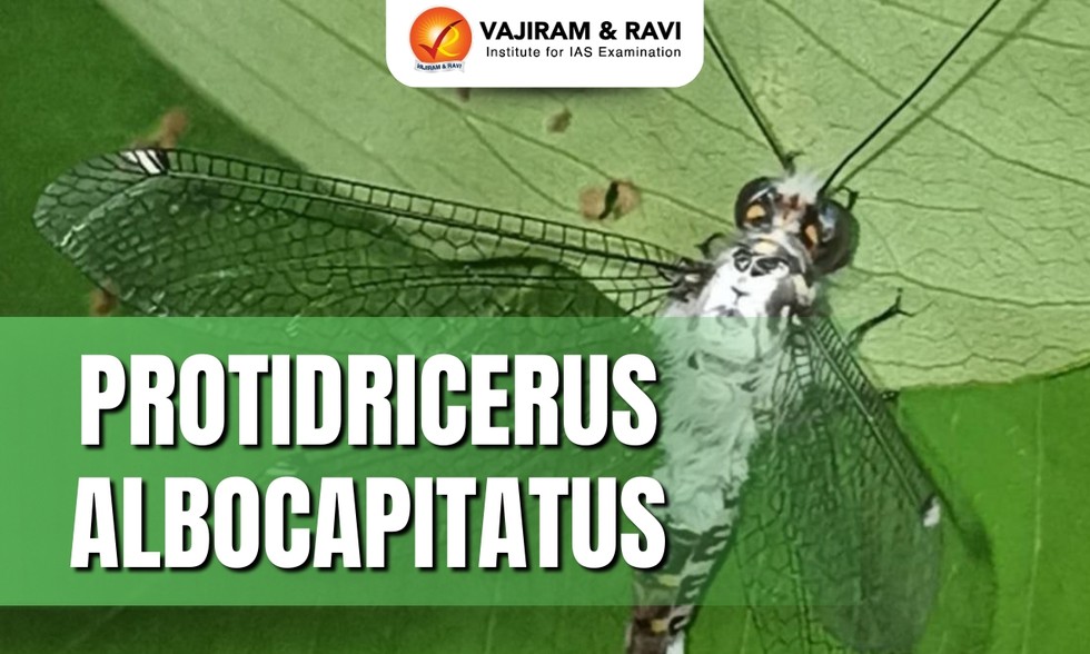 current affairs image