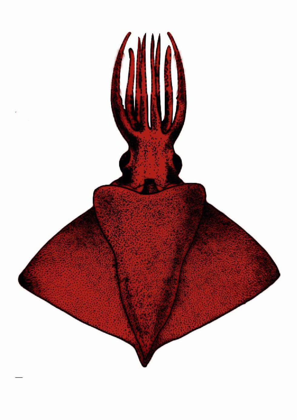 current affairs image