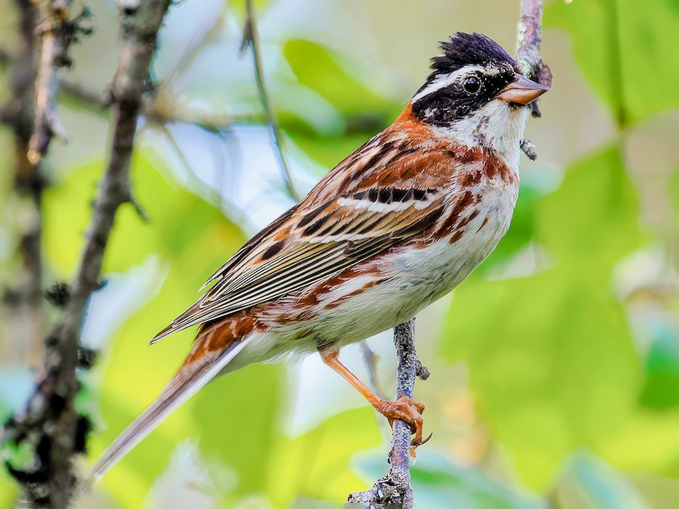 current affairs image