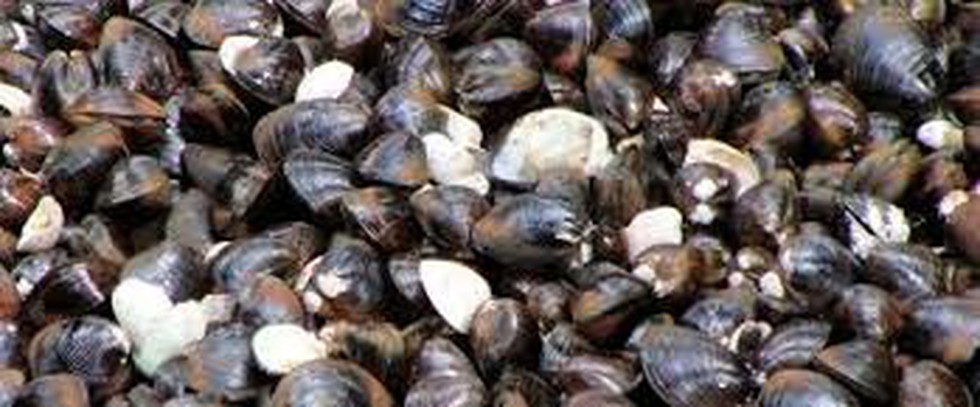 current affairs image