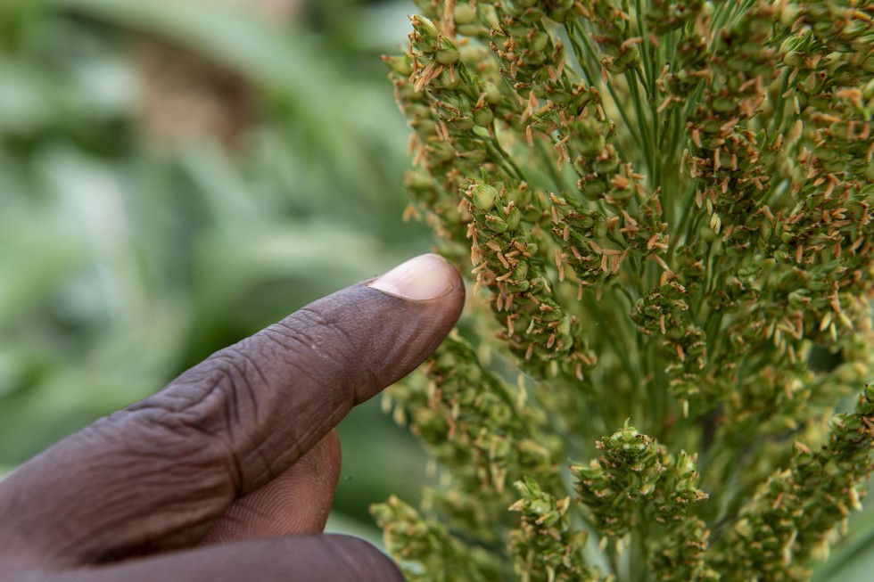 current affairs image