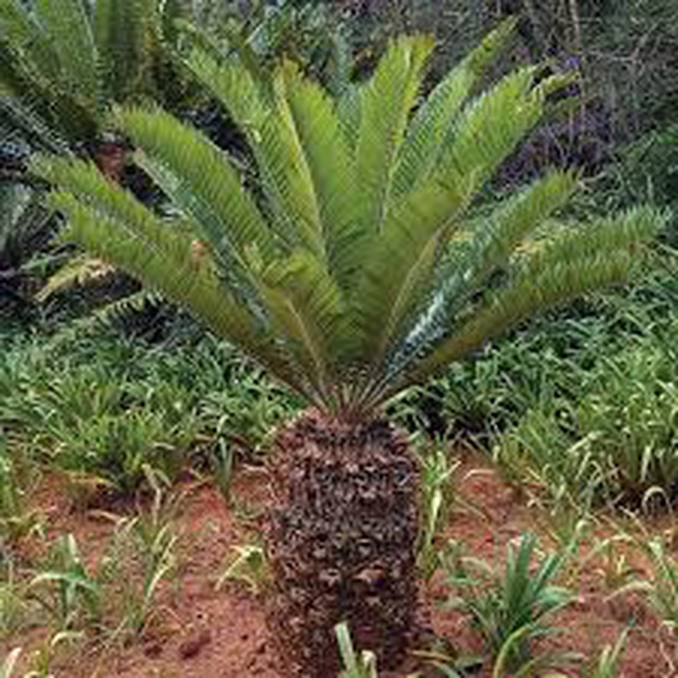 current affairs image