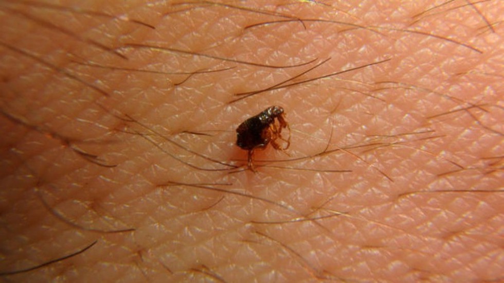 current affairs image