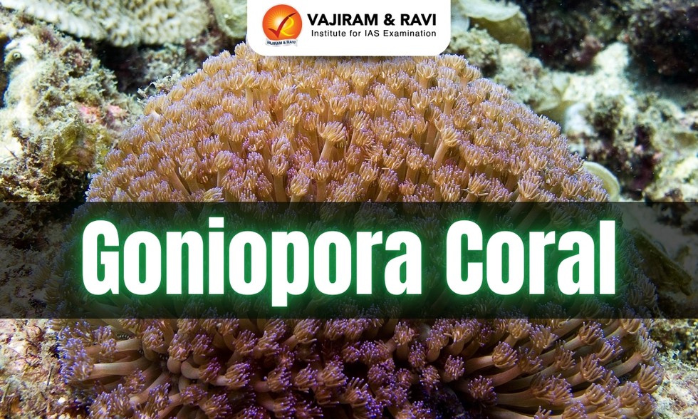 current affairs image