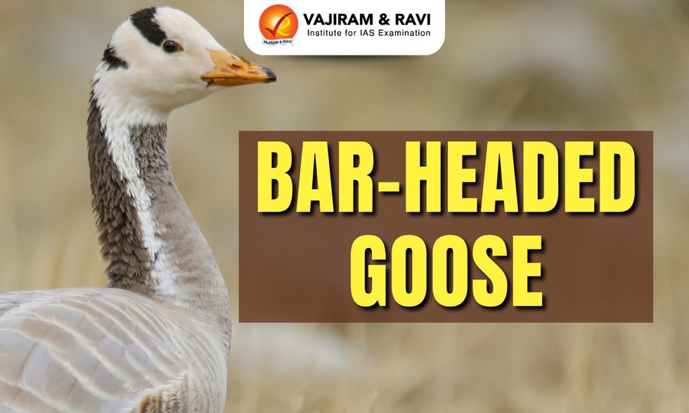 current affairs image