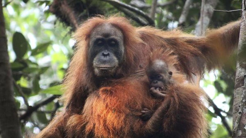 current affairs image