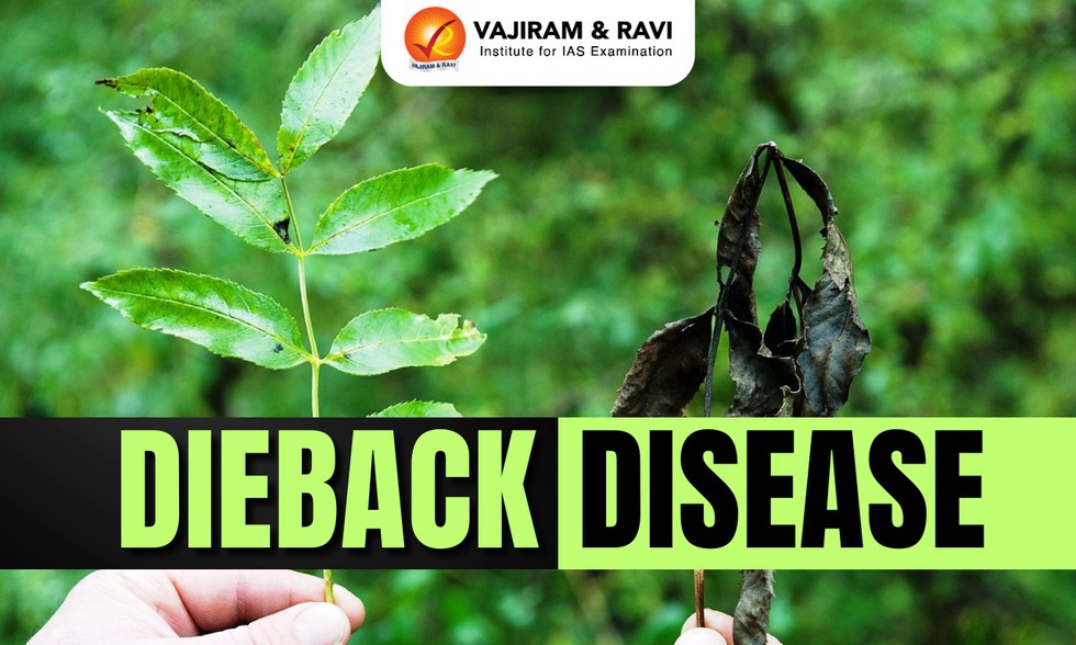 current affairs image