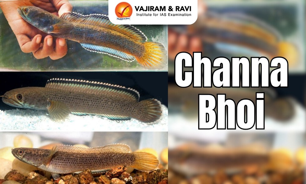 current affairs image