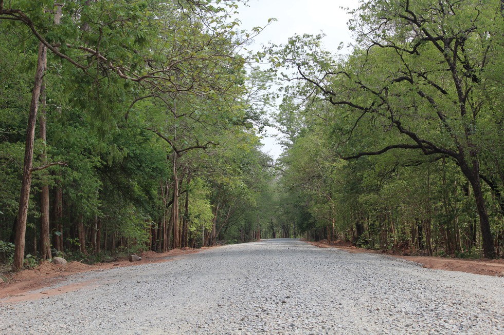 current affairs image