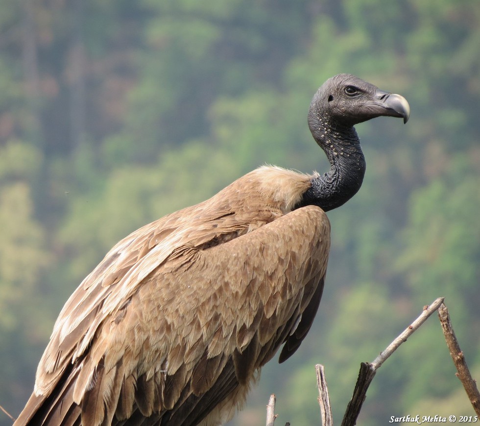 current affairs image