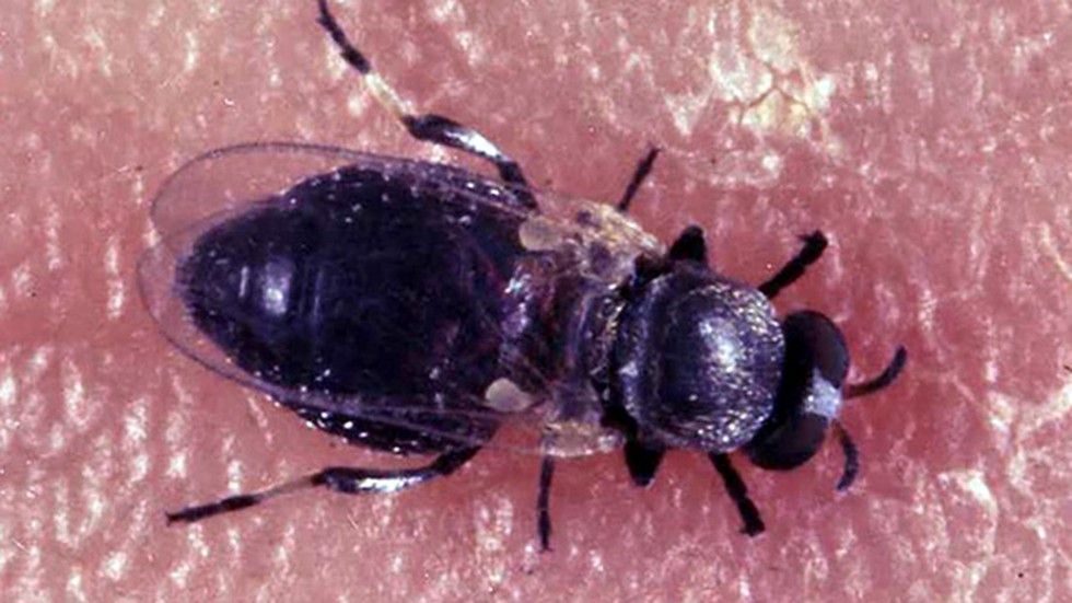 current affairs image