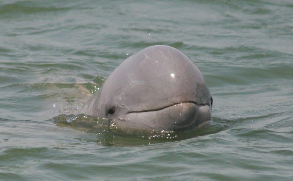 current affairs image