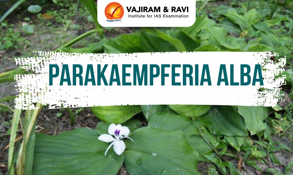 current affairs image