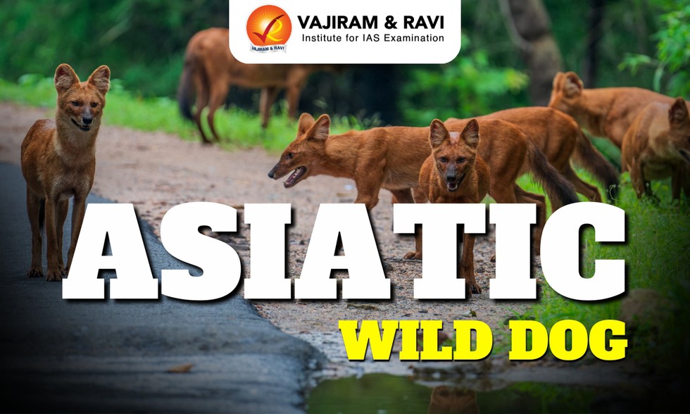 current affairs image