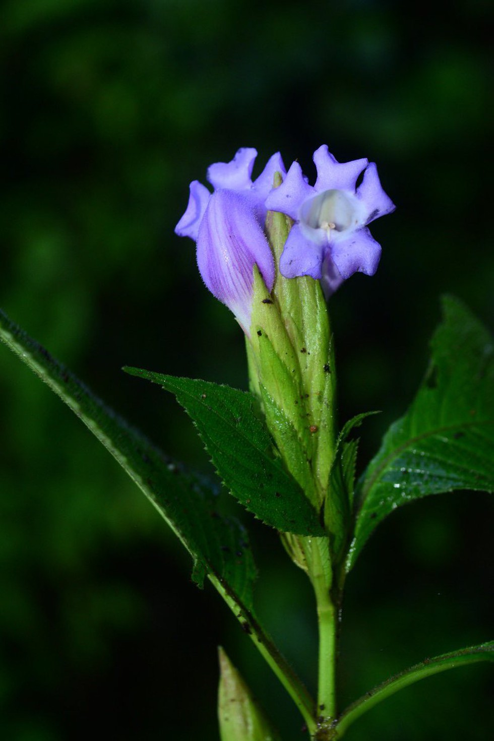 current affairs image