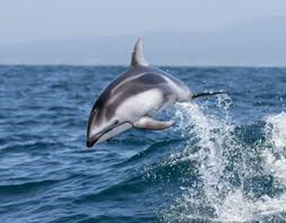 current affairs image